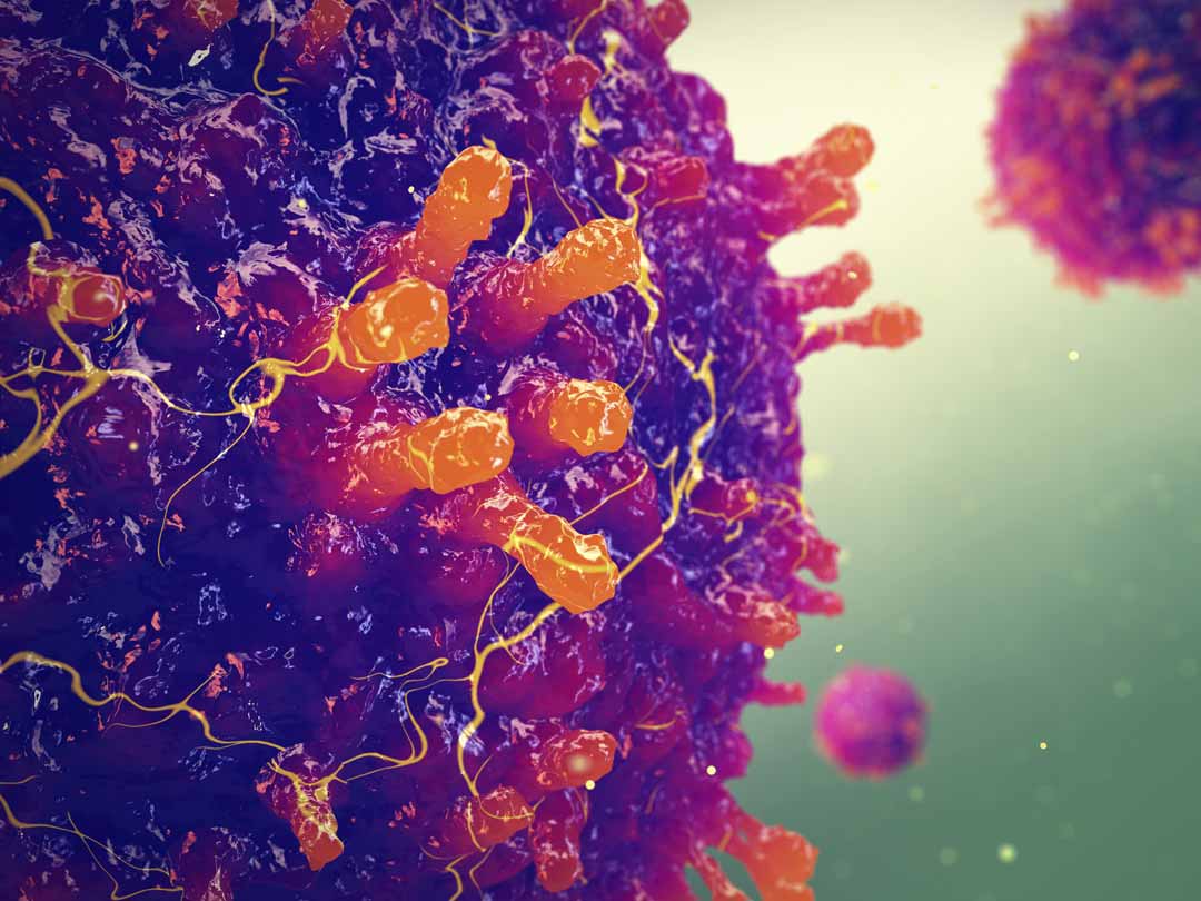 Saker Arbeitsmedizin - Masernimpfpflicht seit 2020 Saker Arbeitsmedizin - Masernimpfpflicht seit 2020